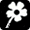 Ecology Ecology